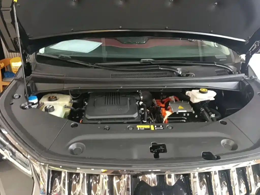 GAC Motor Trumpchi E9 2023 — фото 20