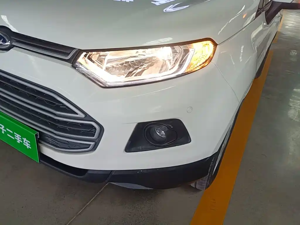 Ford EcoSport 2015 — фото 24