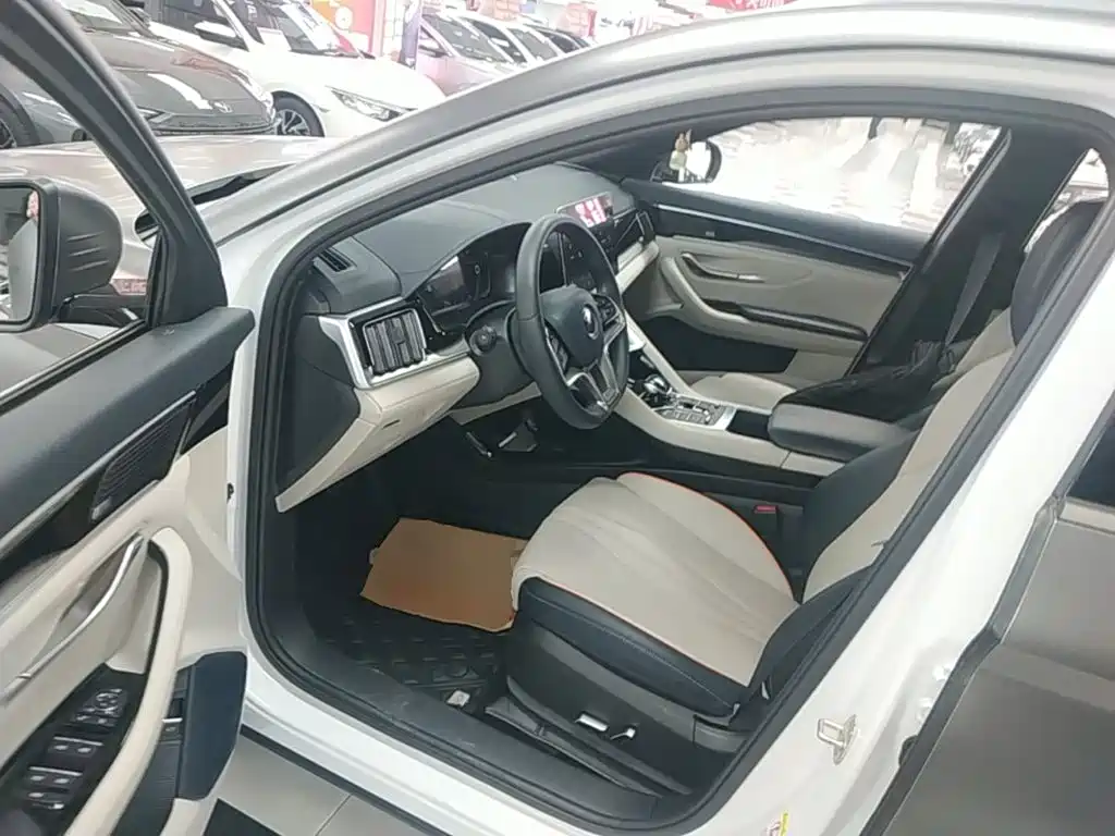 BYD PLUS New Energy 2022 — фото 15