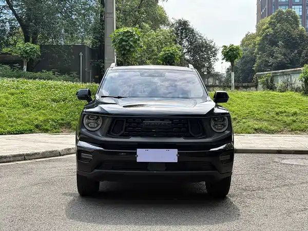 Haval Dog PLUS 2023