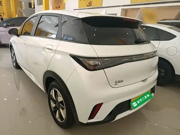 BYD Dolphin 2024