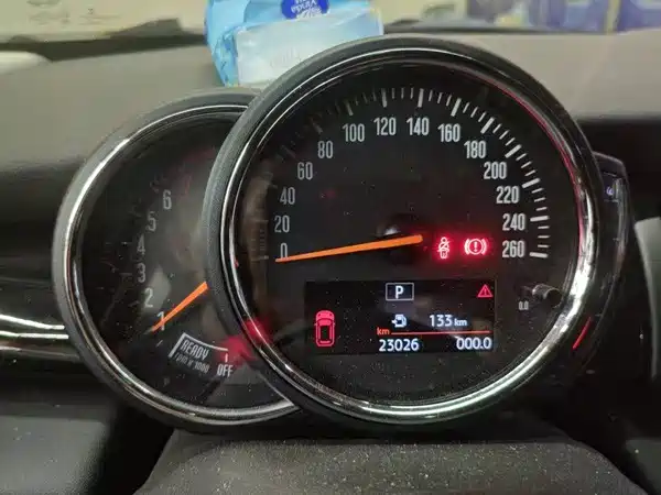 MINI MINI 2021
