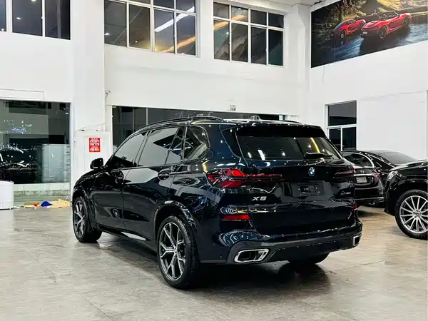 BMW X5 2025