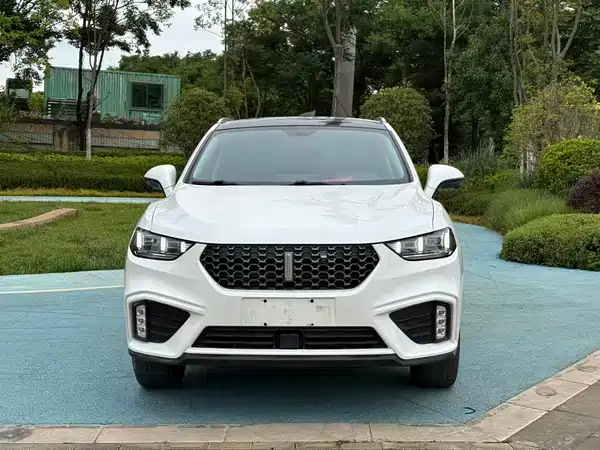 Wey VV5 2020