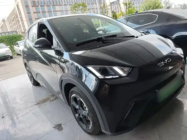 BYD Seagull 2024