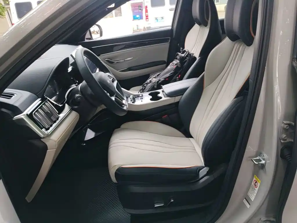 BYD Song PLUS New Energy 2024 — фото 15