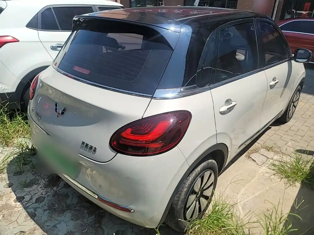 Wuling Bingo 2024