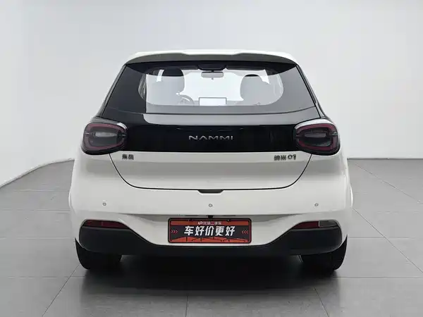 Dongfeng Nano 01 2024