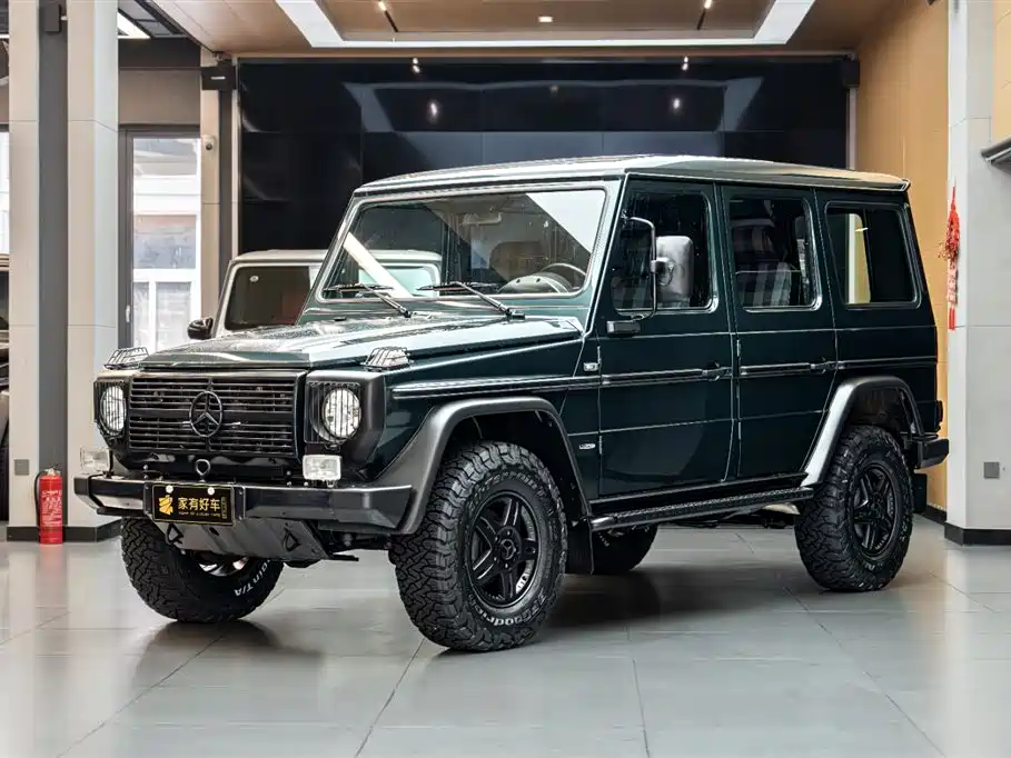 Mercedes-Benz G-Class 2010 — фото 1