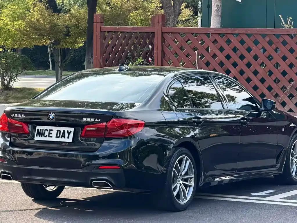 BMW 5 Series 2019 — фото 9