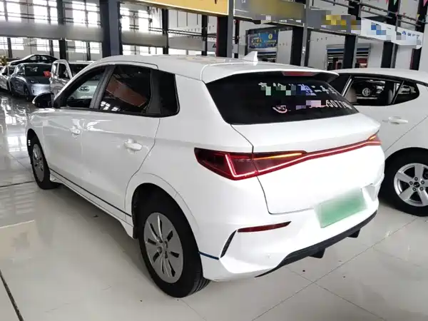 BYD e2 2020