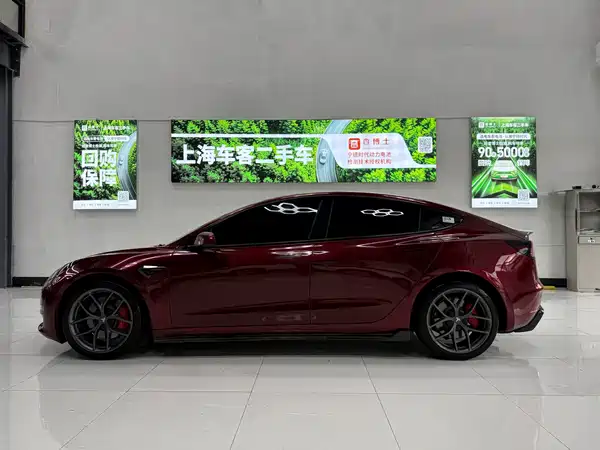 Tesla Model 3 2021