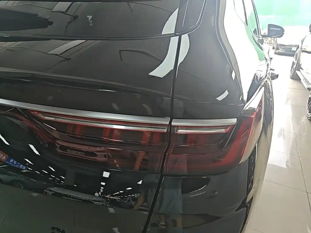 BYD Song PLUS New Energy 2021 — фото 8