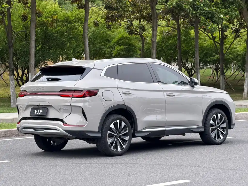 BYD PLUS New Energy 2025 — фото 12