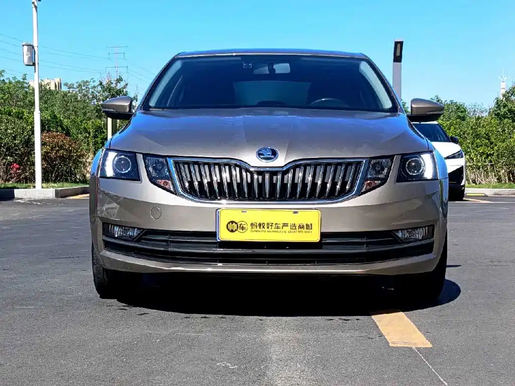 Skoda Octavia 2021 — фото 2