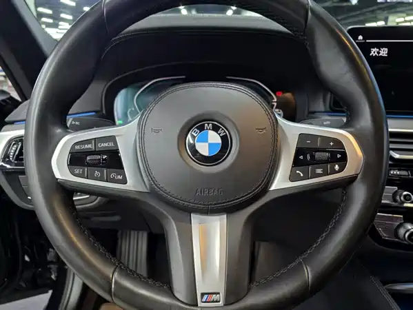 BMW 5 Series New Energy 2021