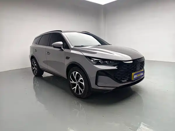 BYD Tang New Energy 2025