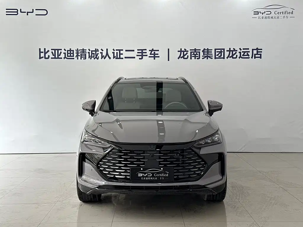 BYD Tang New Energy 2025 — фото 2