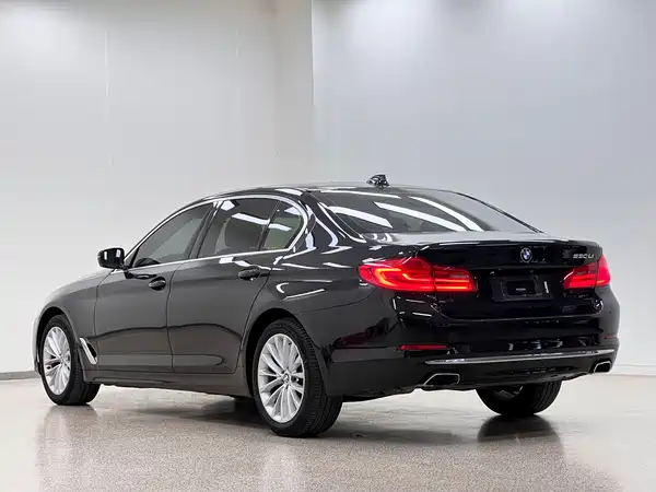 BMW 5 Series 2019
