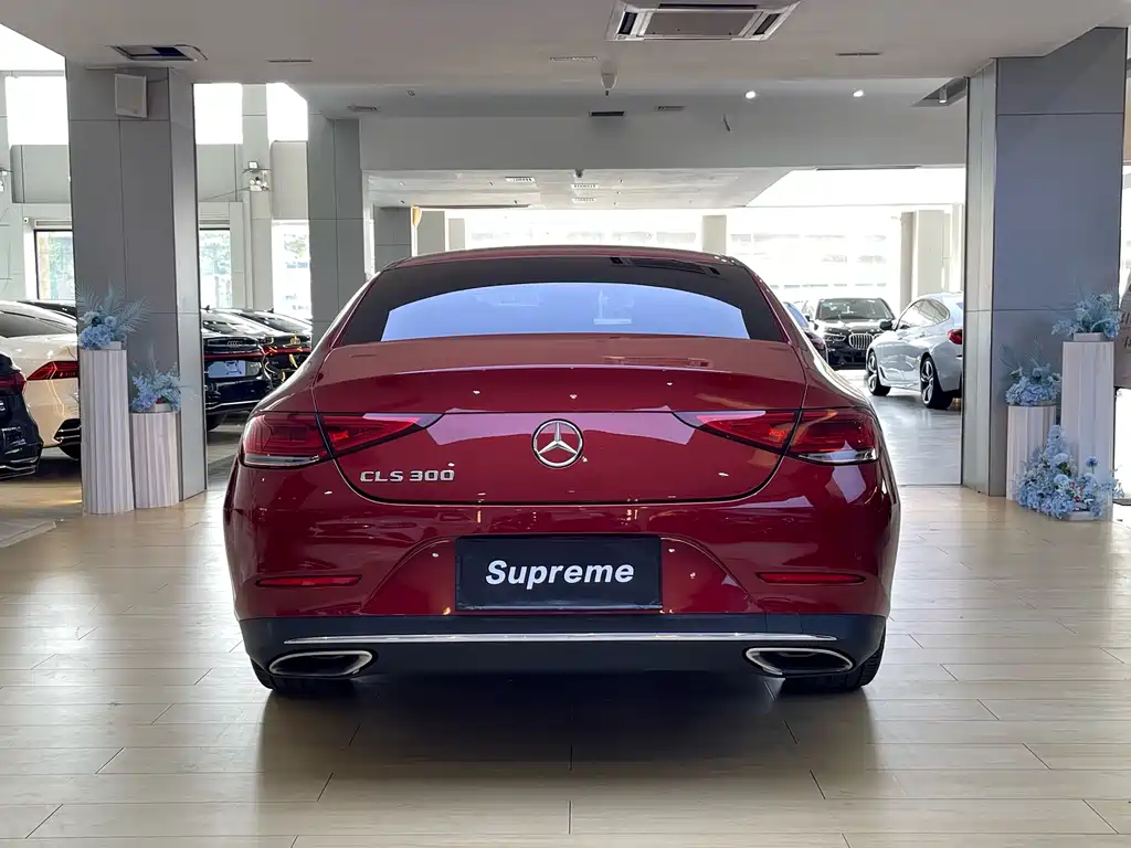 Mercedes-Benz CLS 2019 — фото 10