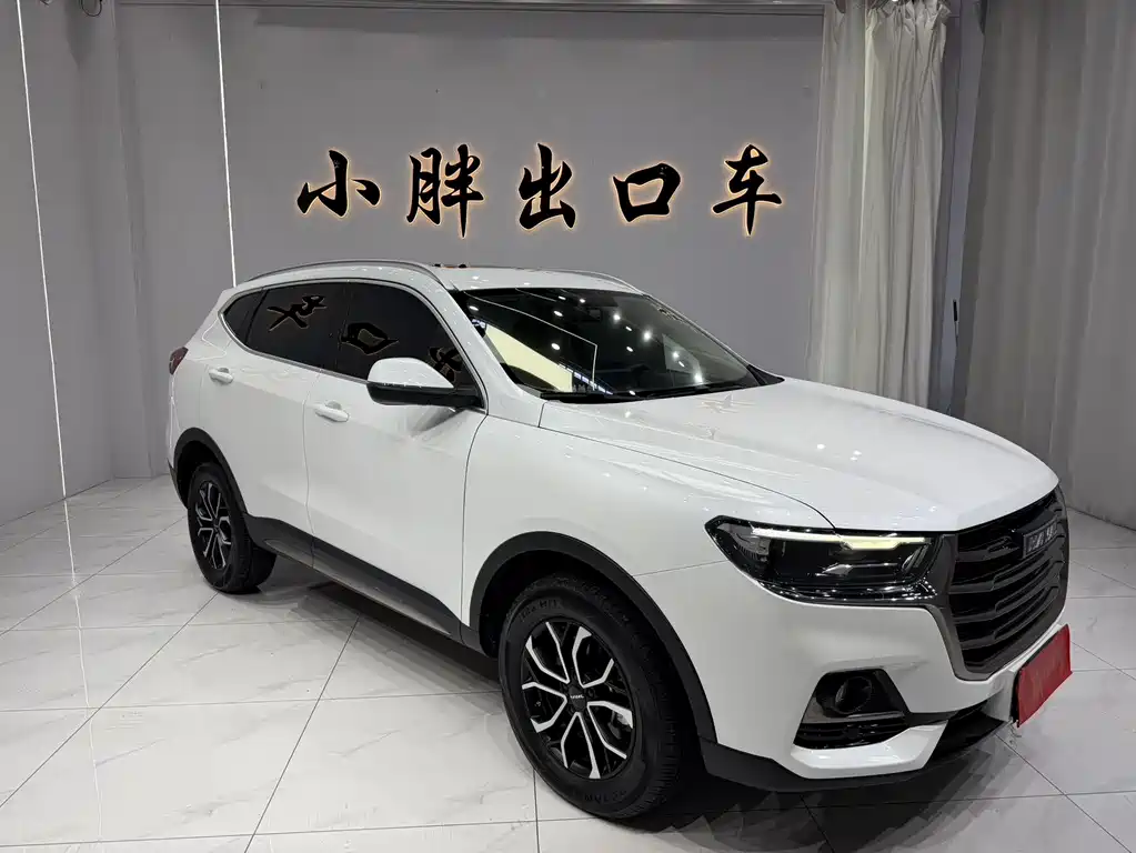 Haval H6 2022 — фото 4