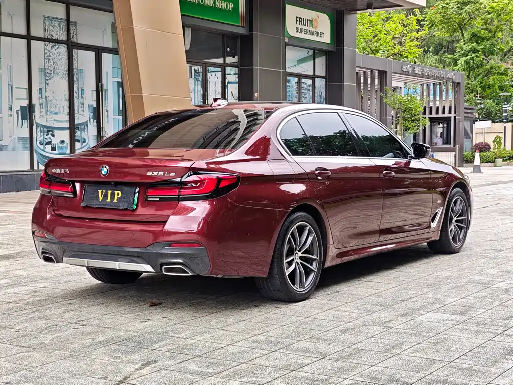 BMW 5 Series New Energy 2021 — фото 15