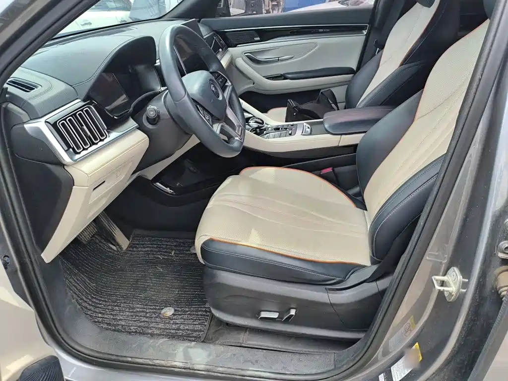 BYD Song PLUS New Energy 2022 — фото 8