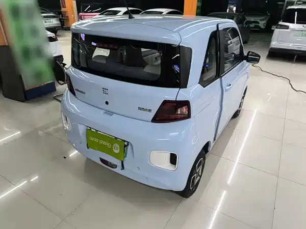 Dongfeng Scenery MINIEV 2024