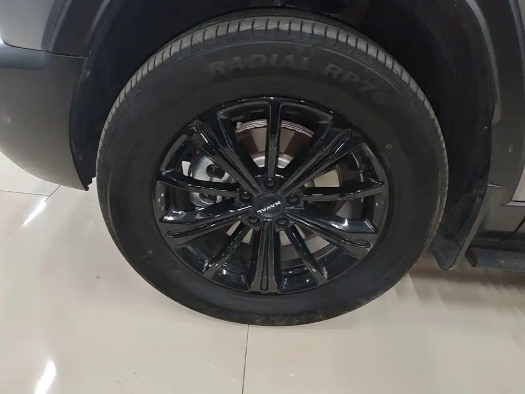 Haval Raptors New Energy 2024 — фото 23