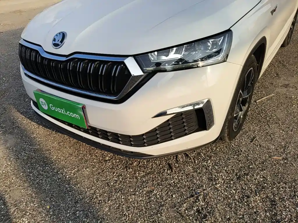 Skoda Kamiq 2021 — фото 24