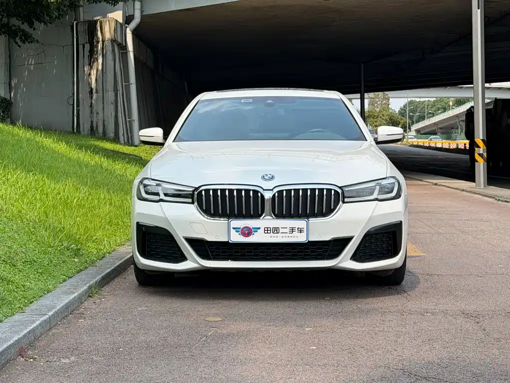 BMW 5 Series New Energy 2022