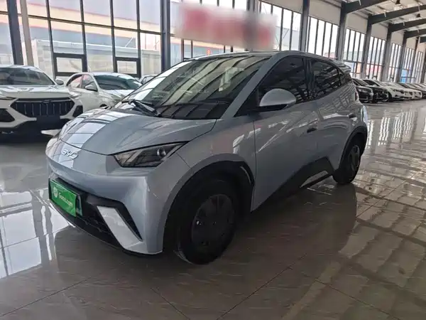 BYD Seagull 2024