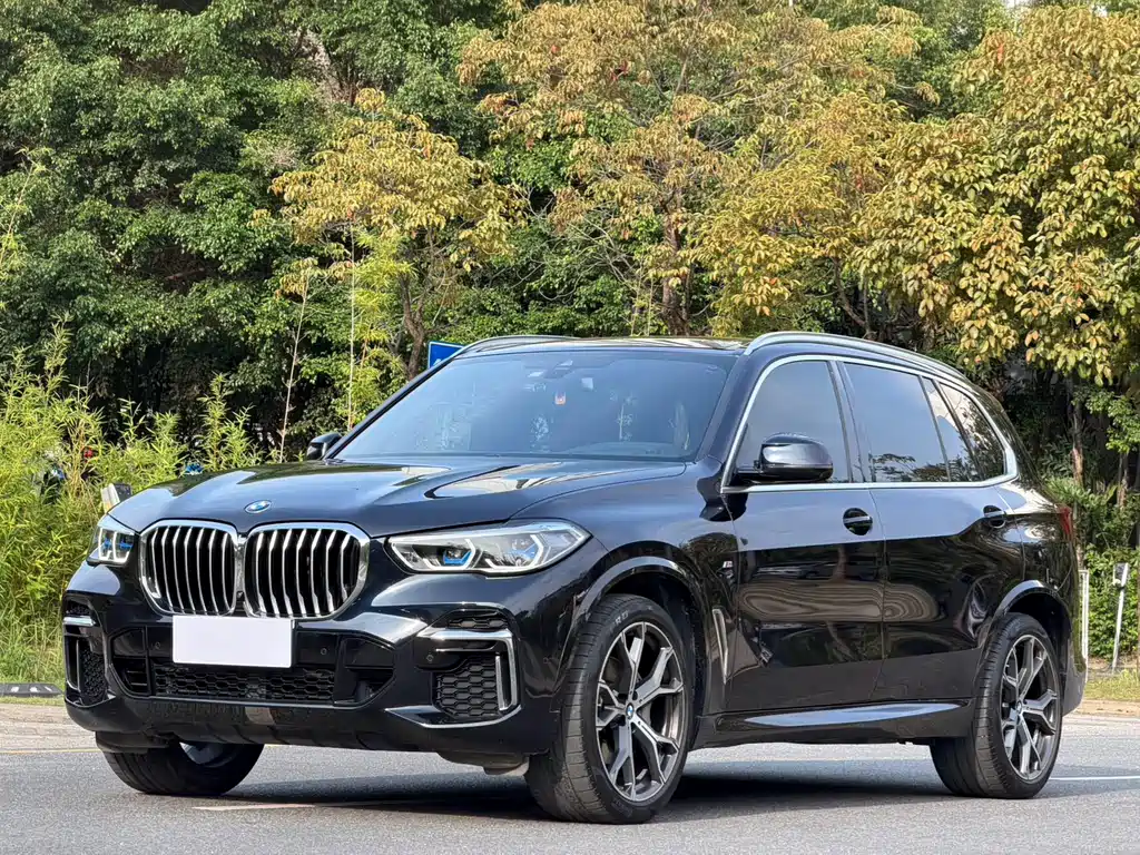 BMW X5 2023 — фото 1