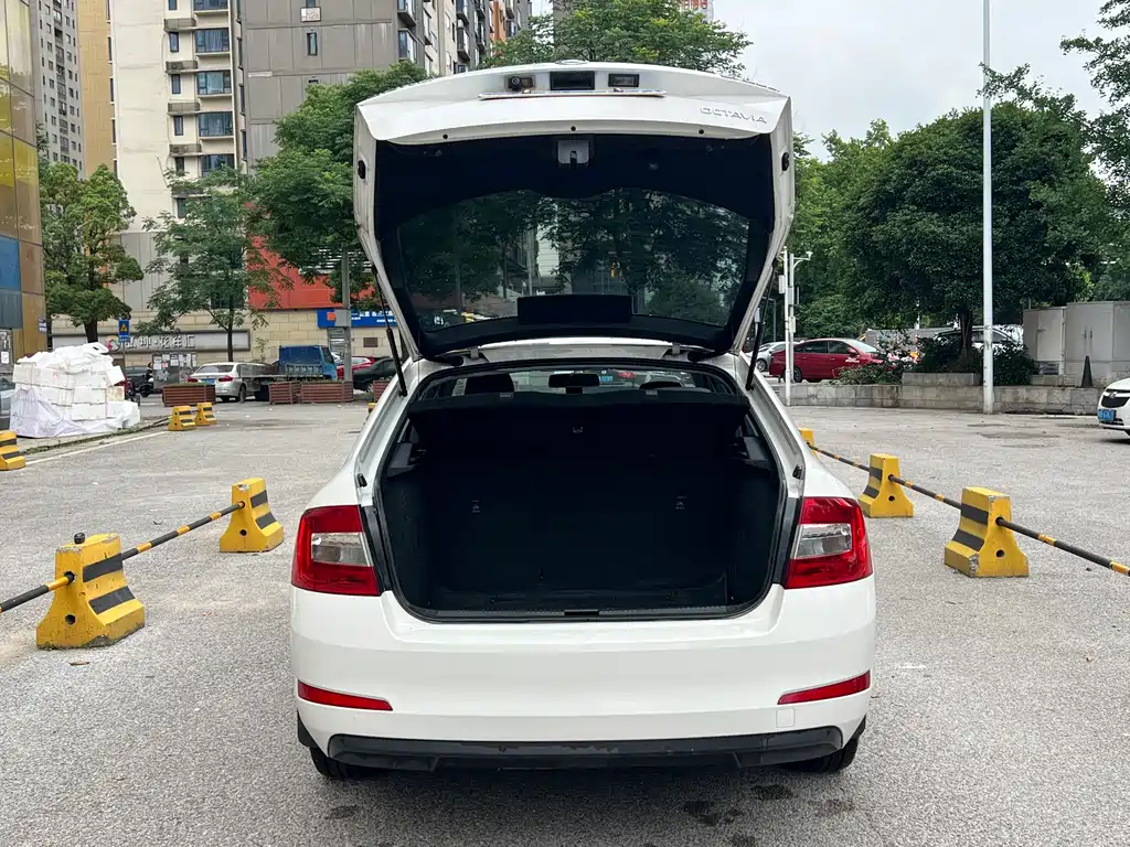 Skoda Octavia 2015 — фото 20