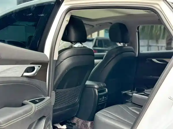 Geely Borui 2020