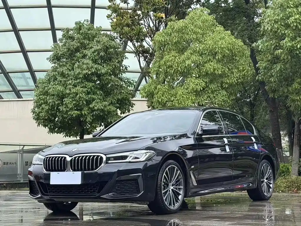 BMW 5 Series 2021