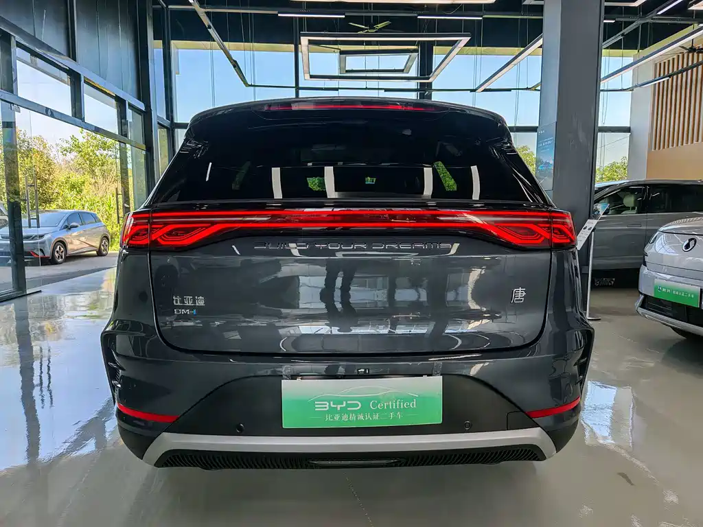 BYD Tang New Energy 2024 — фото 11