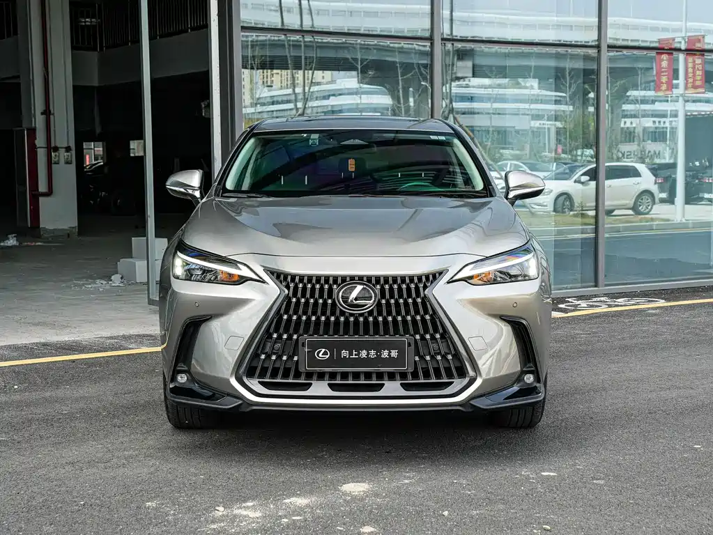 Lexus NX New Energy 2023 — фото 2