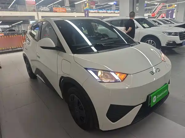 BYD Seagull 2025