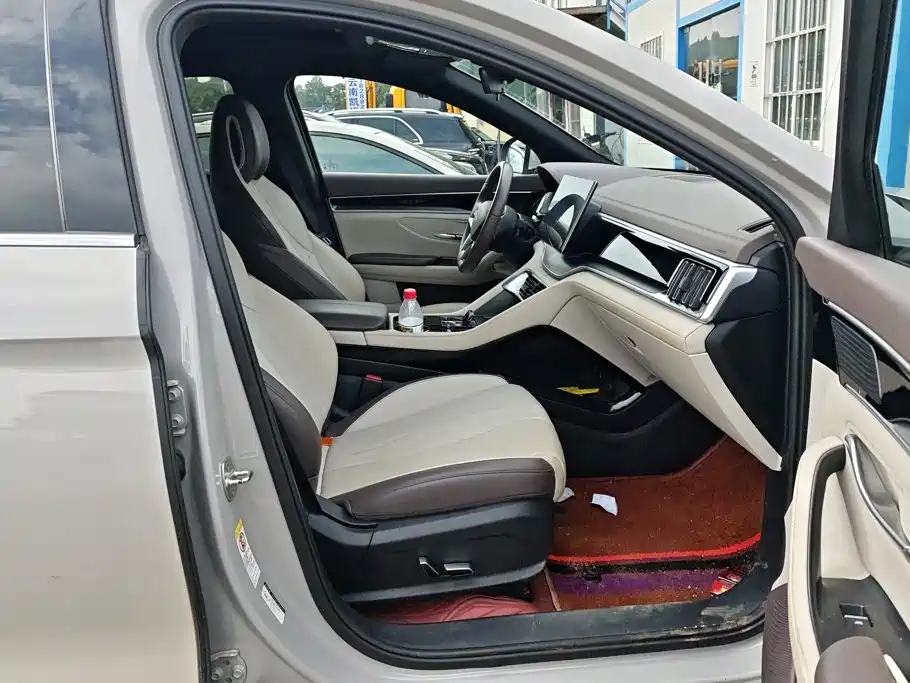 BYD Song PLUS New Energy 2025 — фото 8