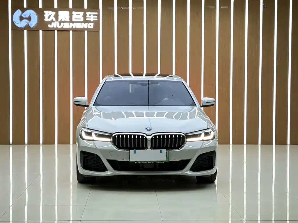 BMW 5 Series New Energy 2022 — фото 2