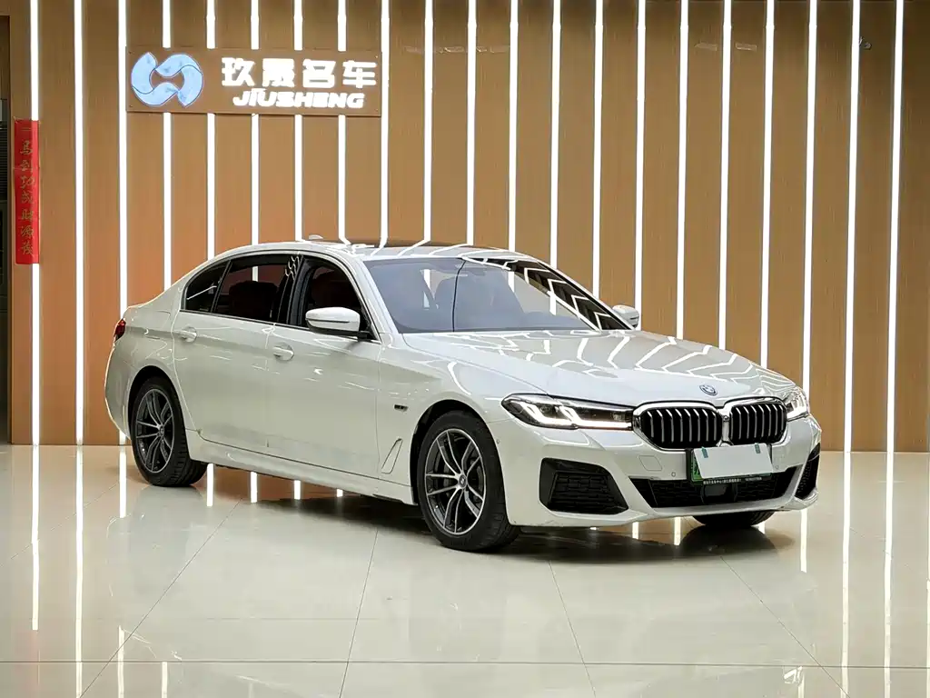 BMW 5 Series New Energy 2022 — фото 3