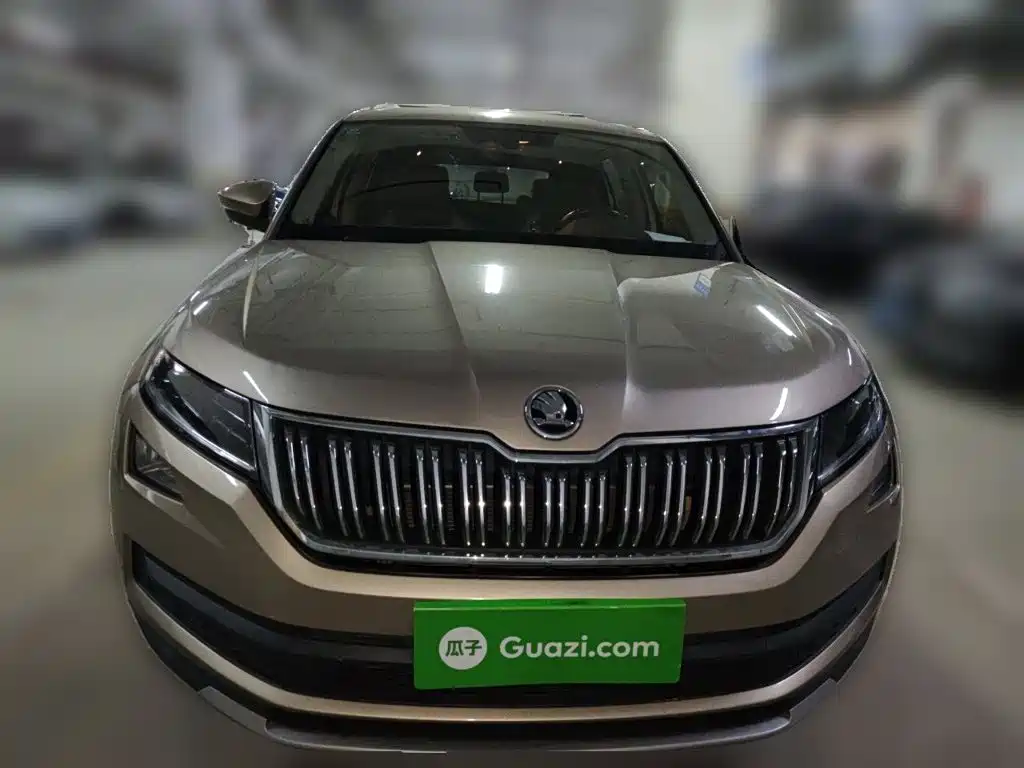 Skoda Kodiaq 2018 — фото 24