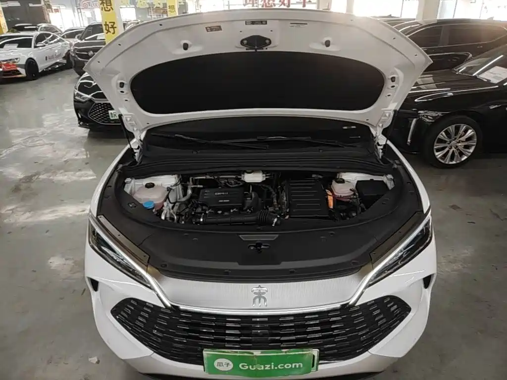 BYD L DM-i 2024 — фото 20