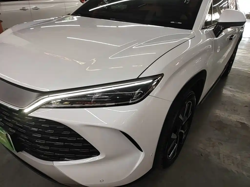 BYD L DM-i 2024 — фото 24