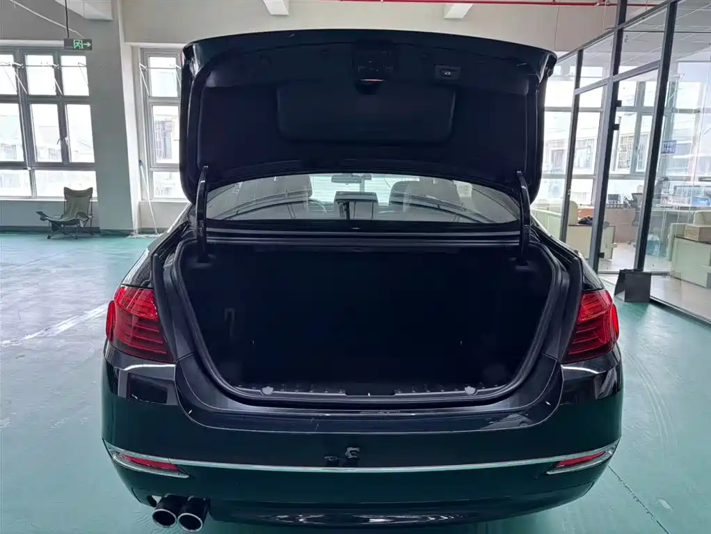 BMW 5 Series 2017 — фото 12