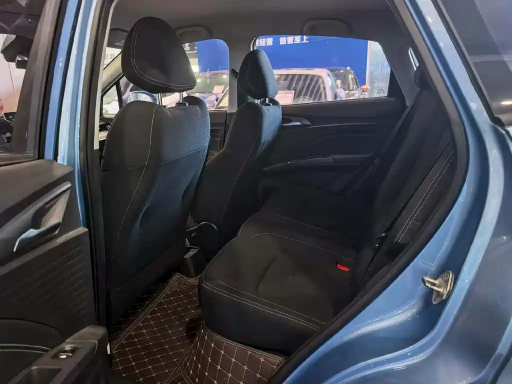 Neta V 2020
