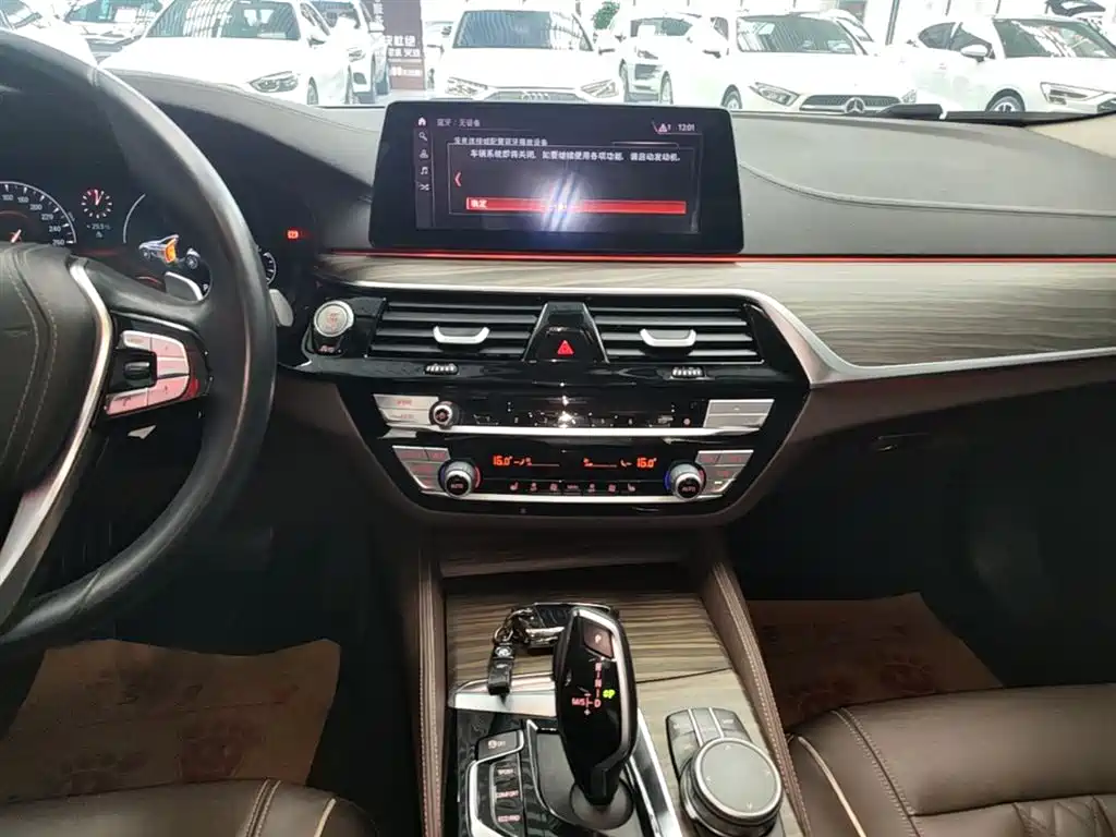 BMW 5 Series 2019 — фото 13