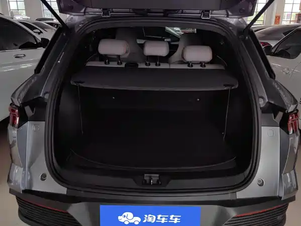 BYD Song Pro New Energy 2024