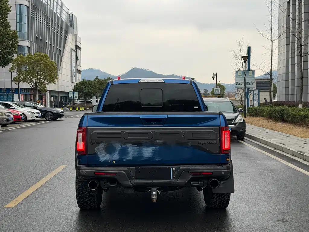 Ford F-150 Raptor 2019 — фото 8